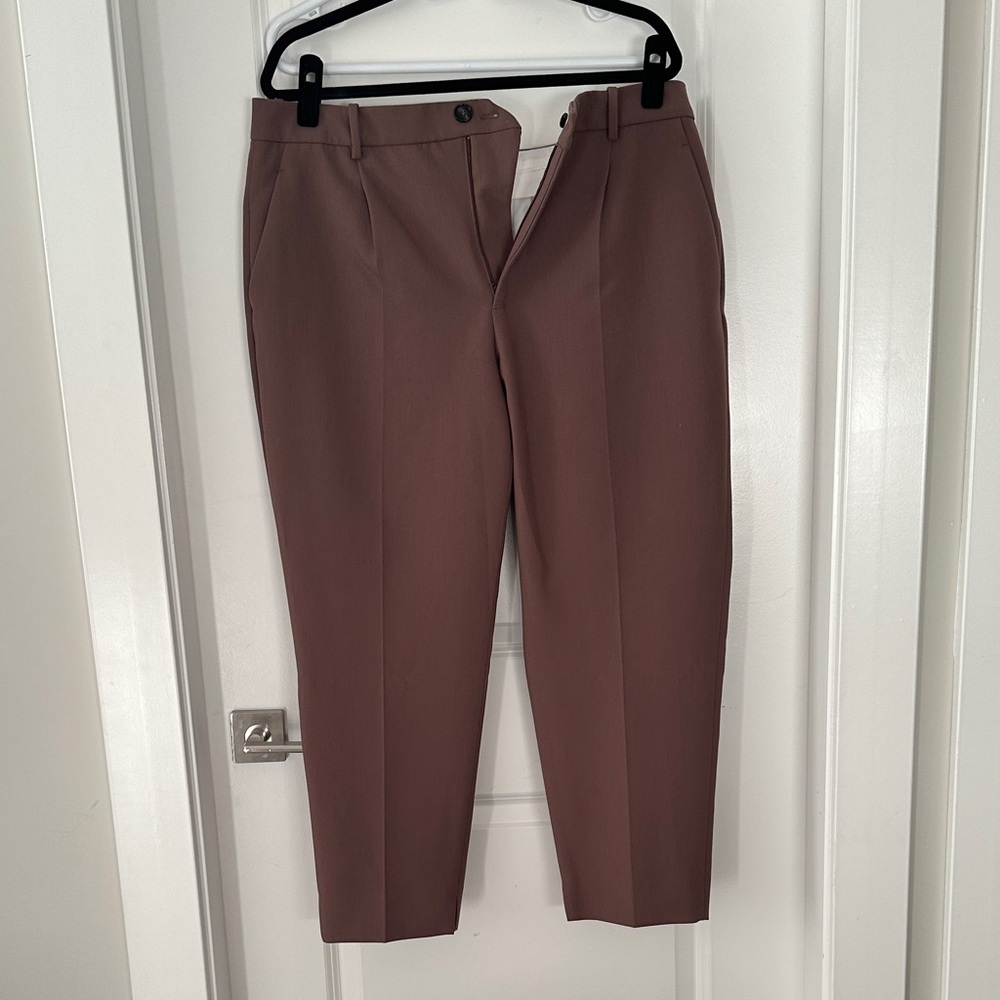 Zara Men's Flat-Front Dress Pants in Taupe Brown